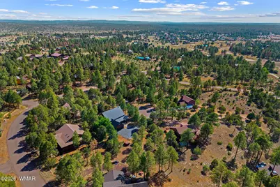 2789 Doolittle Circle, Overgaard, AZ 85933 - Photo 43