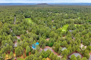 5054 Night Hawk Loop, Pinetop, AZ 85935 - Photo 33