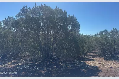 50 County Road 3190, Vernon, AZ 85940 - Photo 3