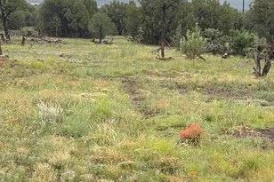 10 N3082, Vernon, AZ 85940 - Photo 11