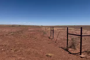 25 N County Road 8445, Concho, AZ 85924 - Photo 1