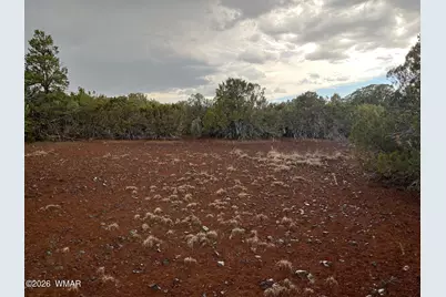 34 County Road 8406, Vernon, AZ 85940 - Photo 5