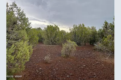 34 County Road 8406, Vernon, AZ 85940 - Photo 3