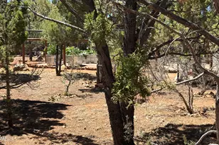 1495 Shade Tree Dr, Heber, AZ 85928 - Photo 49