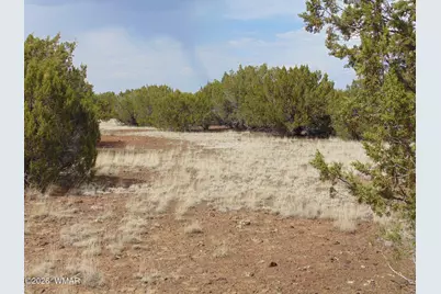 34 N3124, Vernon, AZ 85940 - Photo 19
