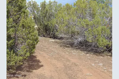 34 N3124, Vernon, AZ 85940 - Photo 25