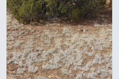 34 N3124, Vernon, AZ 85940 - Photo 21