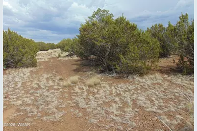 34 N3124, Vernon, AZ 85940 - Photo 7