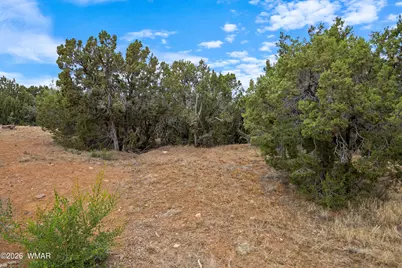 400 &amp; 410 N 18th Pl Place, Show Low, AZ 85901 - Photo 5