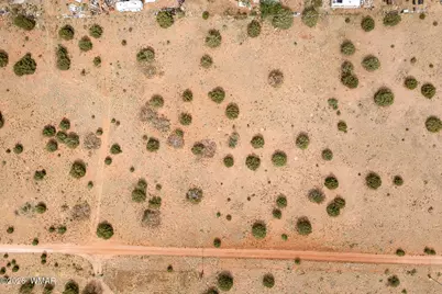 4473 Garibaldi Road, Snowflake, AZ 85937 - Photo 7