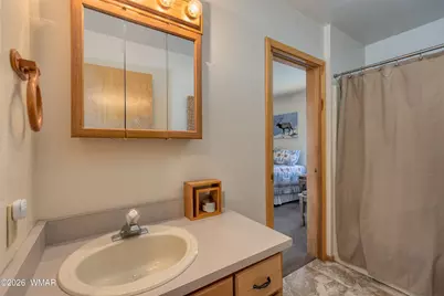 2287 Thunderbird Way, Overgaard, AZ 85933 - Photo 15