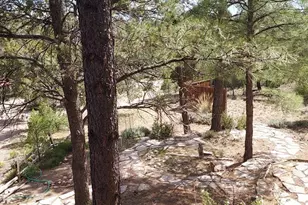 1920 Aspen Ln, Overgaard, AZ 85933 - Photo 27