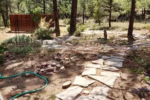 1920 Aspen Ln, Overgaard, AZ 85933 - Photo 25