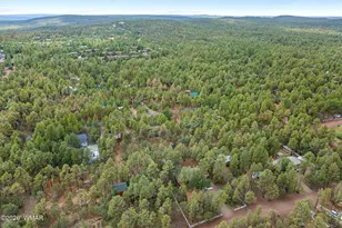 6139 White Pine Dr, Lakeside, AZ 85929 - Photo 35