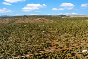 61 County Rd 3114, Vernon, AZ 85940 - Photo 51