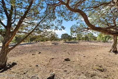 61 County Road 3114, Vernon, AZ 85940 - Photo 45