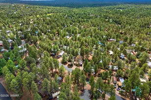 640 S 29th Dr, Show Low, AZ 85901 - Photo 29