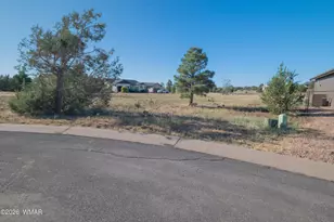 981 S Lorenzo Sitgreaves Dr, Show Low, AZ 85901 - Photo 1