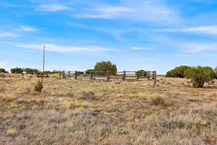 58 Antelope Ave, Concho, AZ 85924 - Photo 39