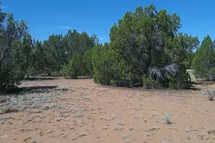 Tbd Concho Valley Lot 3, Concho Valley, AZ 85924 - Photo 1