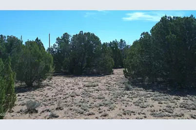 Tbd Concho Valley Lot 3, Concho Valley, AZ 85924 - Photo 3