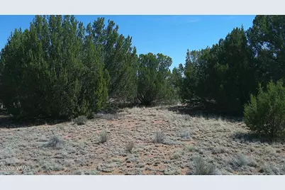 Tbd Concho Valley Lot 3, Concho Valley, AZ 85924 - Photo 5