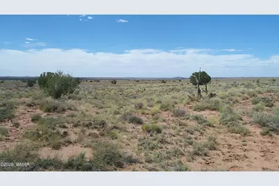 8356 Holly Trail, Snowflake, AZ 85937 - Photo 17
