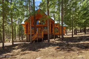 30 N1068, Greer, AZ 85927 - Photo 51