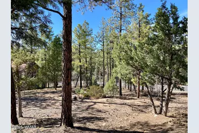 901 E Cedar Ridge Run, Show Low, AZ 85901 - Photo 1