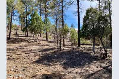 901 E Cedar Ridge Run, Show Low, AZ 85901 - Photo 3