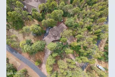 2379 Sunflower Drive, Pinetop, AZ 85935 - Photo 29