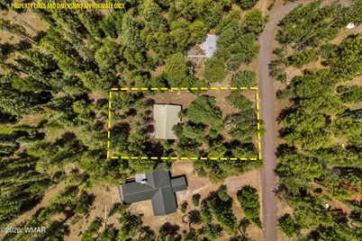 12 Cr 2044, Alpine, AZ 85920 - Photo 3
