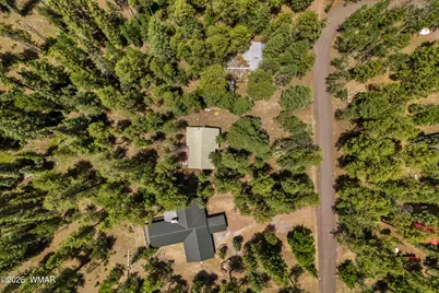 12 Cr 2044, Alpine, AZ 85920 - Photo 25