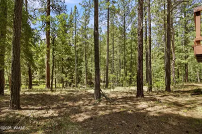 12 Cr 2044, Alpine, AZ 85920 - Photo 5