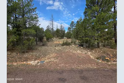 3332 Sawmill Ridge Loop, Heber, AZ 85928 - Photo 1