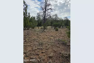 3332 Sawmill Ridge Loop, Heber, AZ 85928 - Photo 7