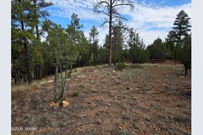 3332 Sawmill Ridge Loop, Heber, AZ 85928 - Photo 5