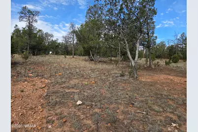 3332 Sawmill Ridge Loop, Heber, AZ 85928 - Photo 3