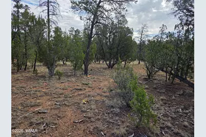 3332 Sawmill Ridge Loop, Heber, AZ 85928 - Photo 9
