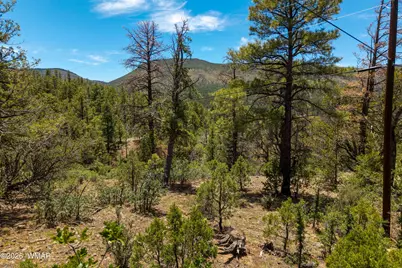34 Cr 2279, Nutrioso, AZ 85932 - Photo 1