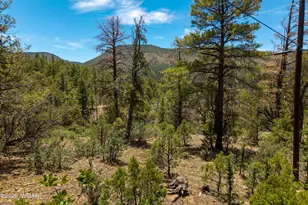 34 Cr 2279, Nutrioso, AZ 85932 - Photo 1