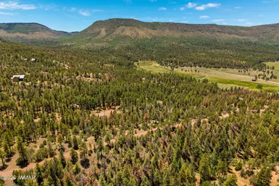 34 Cr 2279, Nutrioso, AZ 85932 - Photo 5