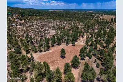 859 White Mountain Drive, Show Low, AZ 85901 - Photo 5