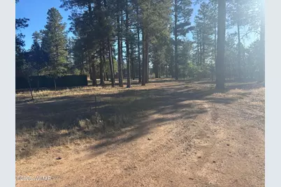 859 White Mountain Drive, Show Low, AZ 85901 - Photo 13