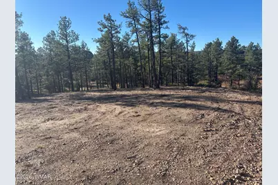 859 White Mountain Drive, Show Low, AZ 85901 - Photo 19