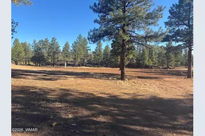 859 White Mountain Drive, Show Low, AZ 85901 - Photo 15
