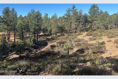 859 White Mountain Drive, Show Low, AZ 85901 - Photo 21