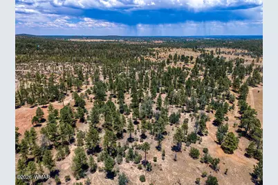 859 White Mountain Drive, Show Low, AZ 85901 - Photo 27