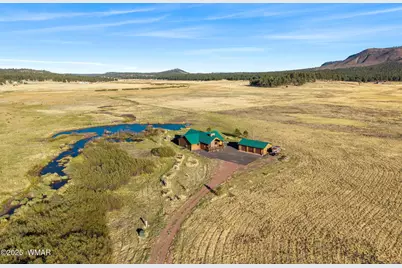 216 Cr 2311, Alpine, AZ 85920 - Photo 43