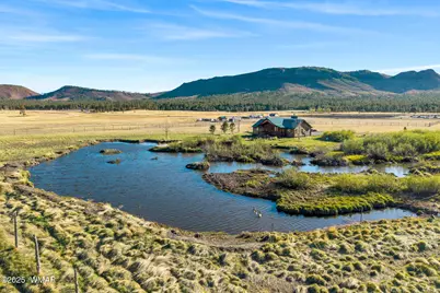 216 Cr 2311, Alpine, AZ 85920 - Photo 39